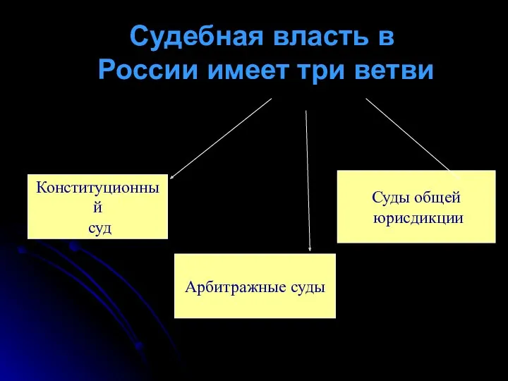 Судебная власть в России имеет три ветви Конституционный суд Суды общей юрисдикции Арбитражные суды