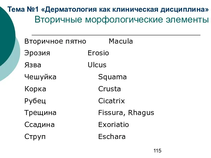 Тема №1 «Дерматология как клиническая дисциплина» Вторичные морфологические элементы Вторичное