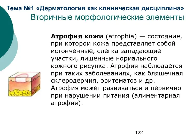 Тема №1 «Дерматология как клиническая дисциплина» Вторичные морфологические элементы Атрофия