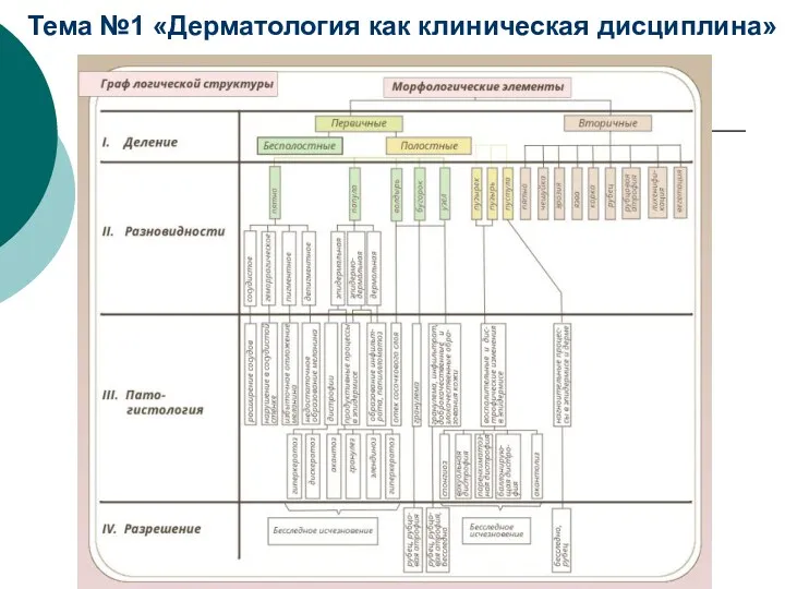 Тема №1 «Дерматология как клиническая дисциплина»