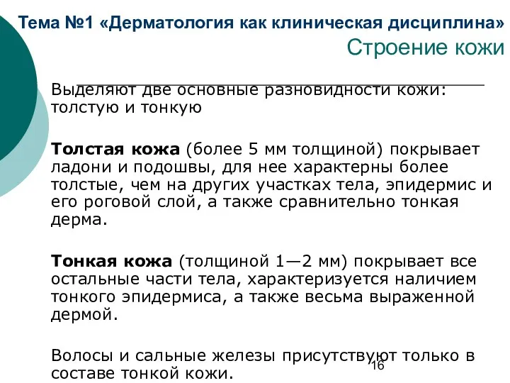 Тема №1 «Дерматология как клиническая дисциплина» Строение кожи Выделяют две