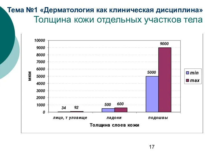 Тема №1 «Дерматология как клиническая дисциплина» Толщина кожи отдельных участков тела