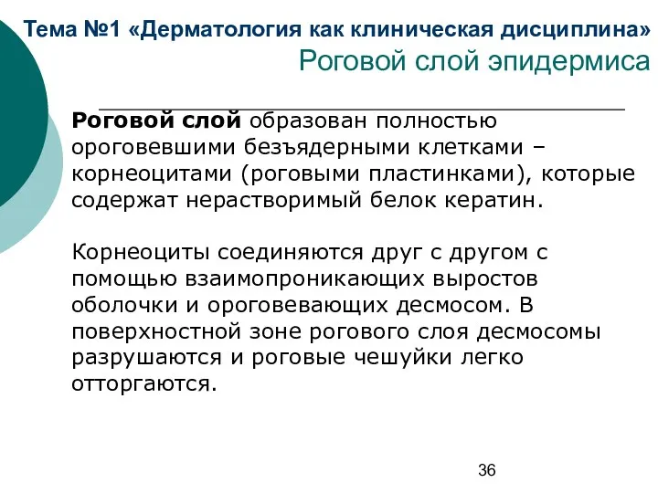 Тема №1 «Дерматология как клиническая дисциплина» Роговой слой эпидермиса Роговой