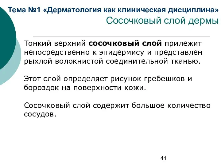 Тема №1 «Дерматология как клиническая дисциплина» Сосочковый слой дермы Тонкий