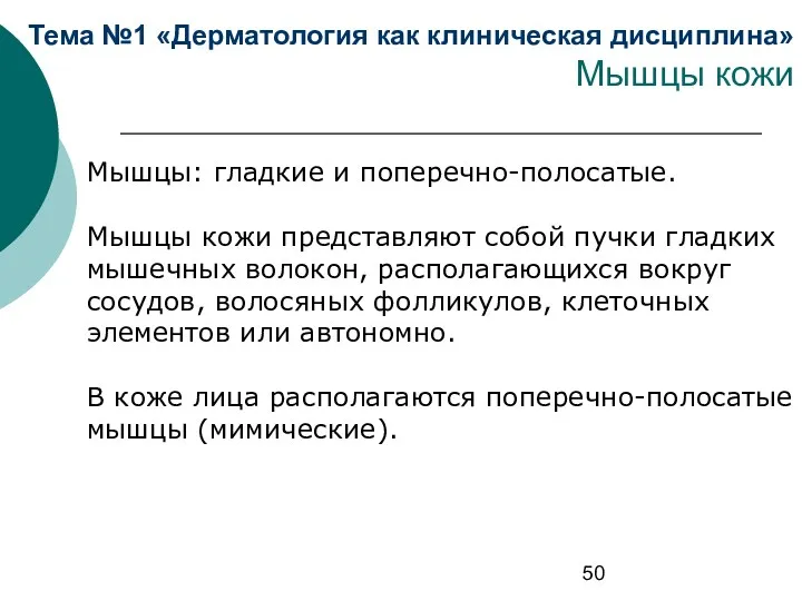 Тема №1 «Дерматология как клиническая дисциплина» Мышцы кожи Мышцы: гладкие