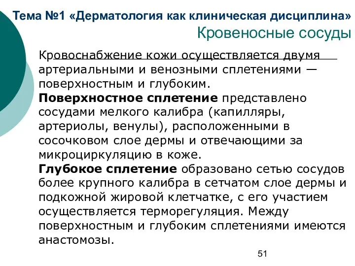 Тема №1 «Дерматология как клиническая дисциплина» Кровеносные сосуды Кровоснабжение кожи