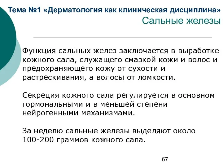 Тема №1 «Дерматология как клиническая дисциплина» Сальные железы Функция сальных