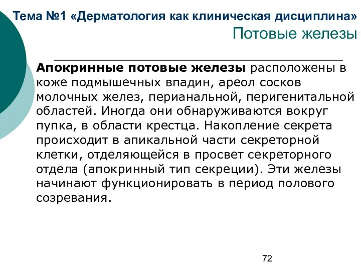 Тема №1 «Дерматология как клиническая дисциплина» Потовые железы Апокринные потовые