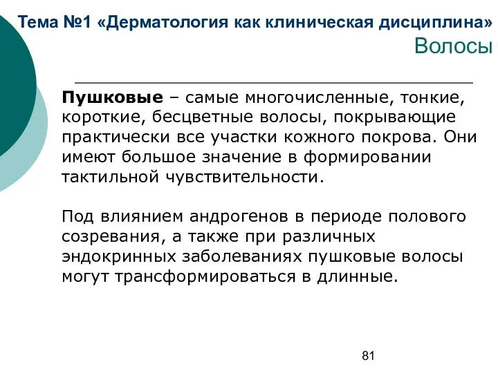 Тема №1 «Дерматология как клиническая дисциплина» Волосы Пушковые – самые