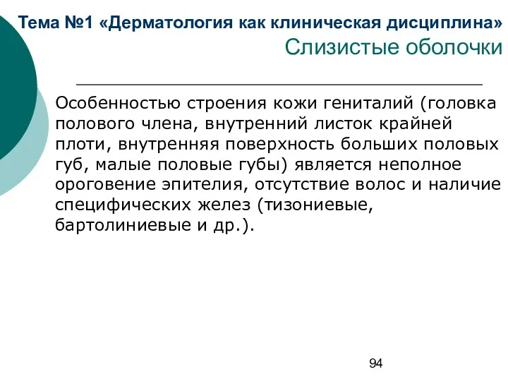 Тема №1 «Дерматология как клиническая дисциплина» Слизистые оболочки Особенностью строения