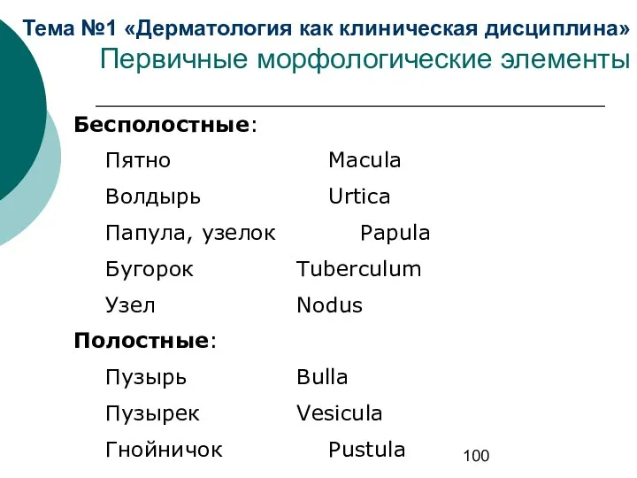 Тема №1 «Дерматология как клиническая дисциплина» Первичные морфологические элементы Бесполостные: