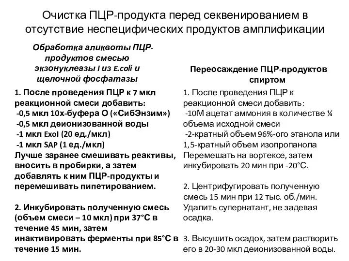 Очистка ПЦР-продукта перед секвенированием в отсутствие неспецифических продуктов амплификации Обработка