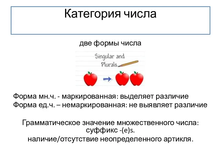 Категория числа две формы числа Форма мн.ч. - маркированная: выделяет