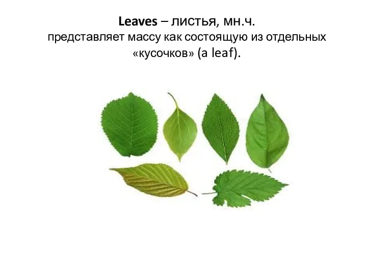 Leaves – листья, мн.ч. представляет массу как состоящую из отдельных «кусочков» (a leaf).