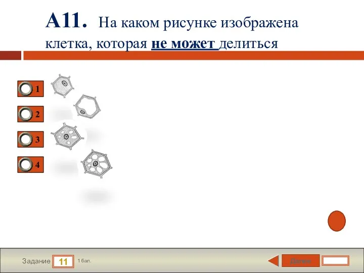 Далее 11 Задание 1 бал. А11. На каком рисунке изображена клетка, которая не может делиться