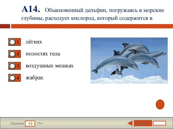 Далее 14 Задание 1 бал. А14. Обыкновенный дельфин, погружаясь в
