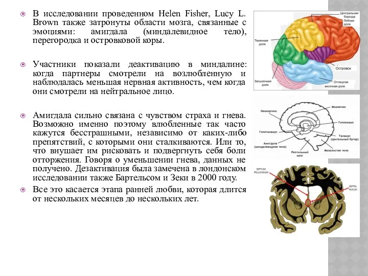 В исследовании проведенном Helen Fisher, Lucy L. Brown также затронуты