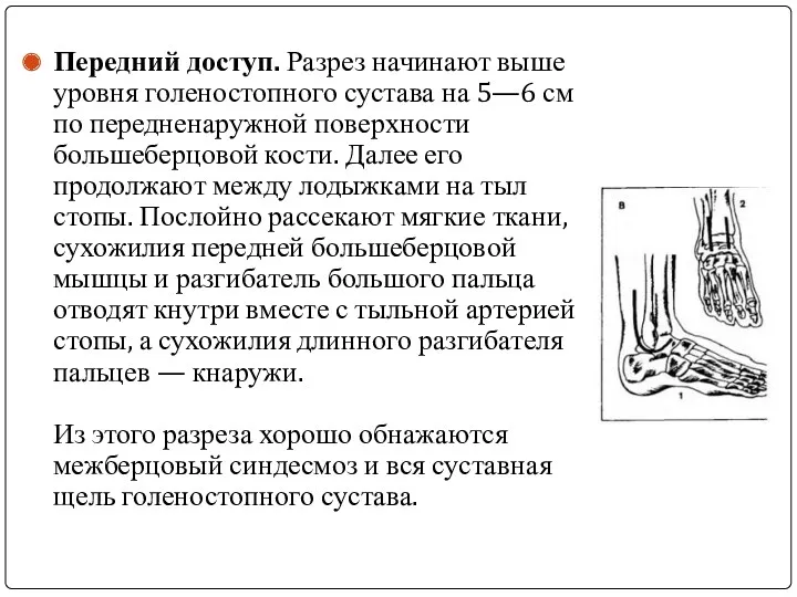 Передний доступ. Разрез начинают выше уровня голеностопного сустава на 5—6