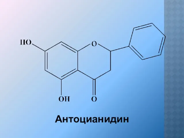 Антоцианидин