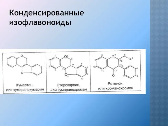 Конденсированные изофлавоноиды