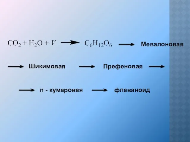 Мевалоновая Шикимовая Префеновая n - кумаровая флаваноид