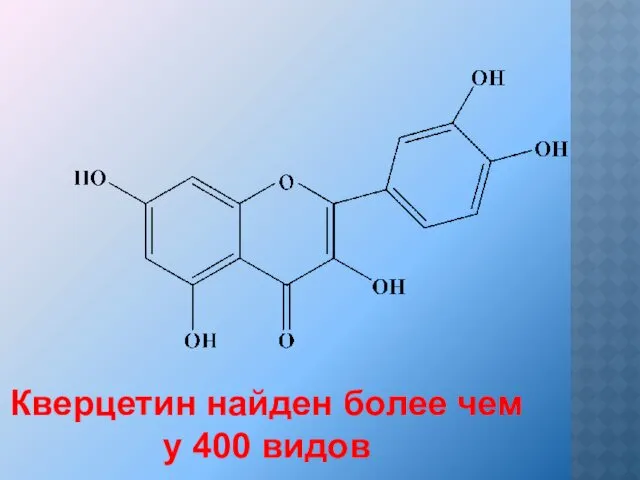 Кверцетин найден более чем у 400 видов