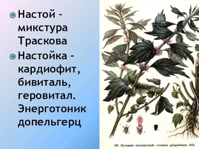 Настой – микстура Траскова Настойка – кардиофит, бивиталь, геровитал. Энерготоник допельгерц