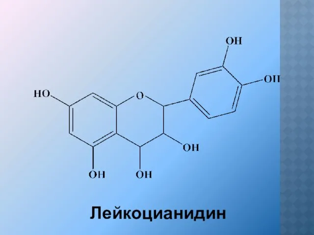Лейкоцианидин