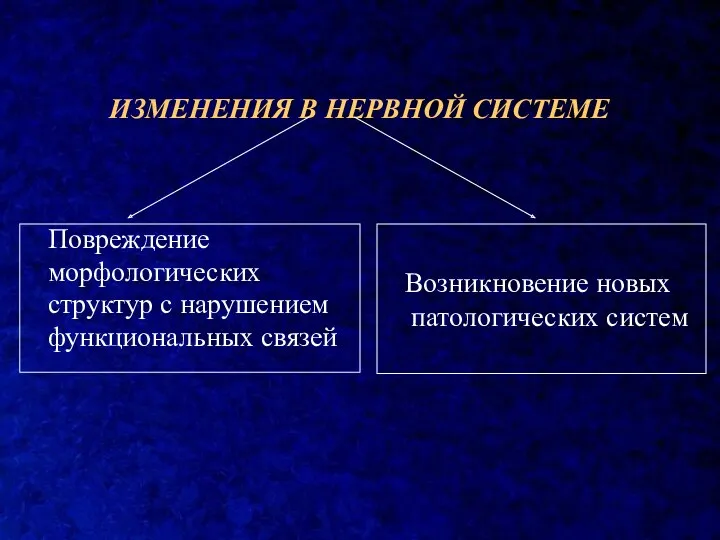 Повреждение морфологических структур с нарушением функциональных связей ИЗМЕНЕНИЯ В НЕРВНОЙ СИСТЕМЕ Возникновение новых патологических систем