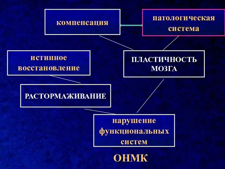 нарушение функциональных систем ПЛАСТИЧНОСТЬ МОЗГА РАСТОРМАЖИВАНИЕ патологическая система компенсация истинное восстановление ОНМК