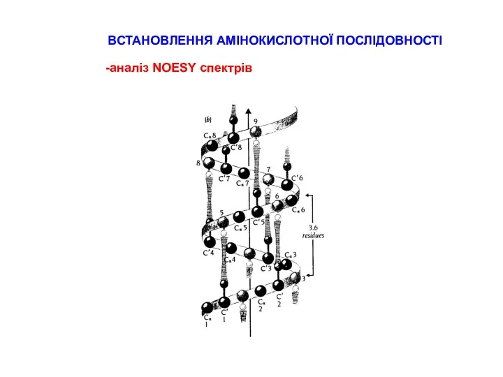 ВСТАНОВЛЕННЯ АМІНОКИСЛОТНОЇ ПОСЛІДОВНОСТІ аналіз NOESY спектрів