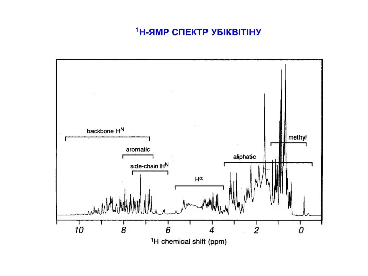 1Н-ЯМР СПЕКТР УБІКВІТІНУ