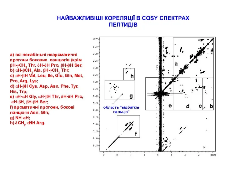 НАЙВАЖЛИВІШІ КОРЕЛЯЦІЇ В COSY СПЕКТРАХ ПЕПТИДІВ а) всі нелабільні неароматичні