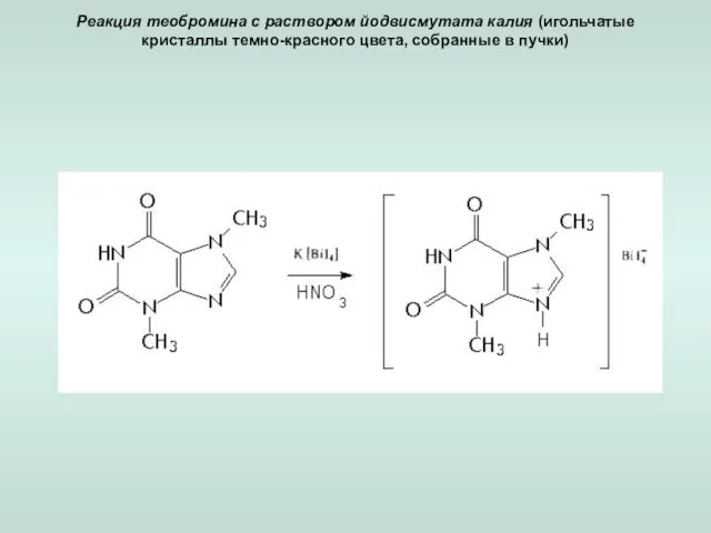 Реакция теобромина с раствором йодвисмутата калия (игольчатые кристаллы темно-красного цвета, собранные в пучки)