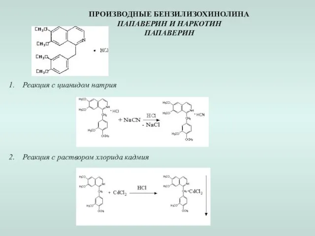 ПРОИЗВОДНЫЕ БЕНЗИЛИЗОХИНОЛИНА ПАПАВЕРИН И НАРКОТИН ПАПАВЕРИН Реакция с цианидом натрия Реакция с раствором хлорида кадмия