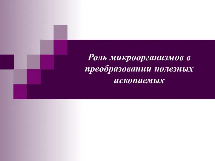 Роль микроорганизмов в преобразовании полезных ископаемых