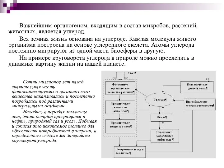 Важнейшим органогеном, входящим в состав микробов, растений, животных, является углерод.