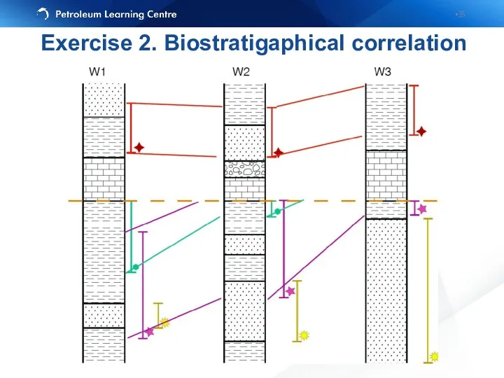 Exercise 2. Biostratigaphical correlation