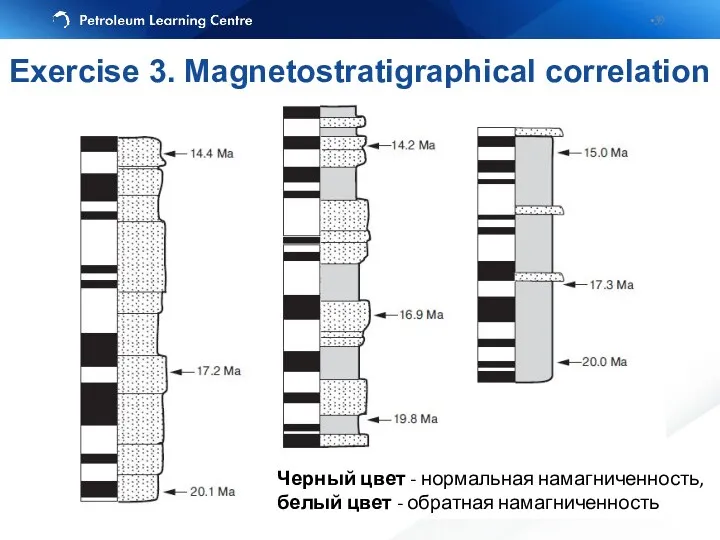 Черный цвет - нормальная намагниченность, белый цвет - обратная намагниченность Exercise 3. Magnetostratigraphical correlation