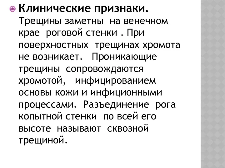 Клинические признаки. Трещины заметны на венечном крае роговой стенки . При поверхностных трещинах