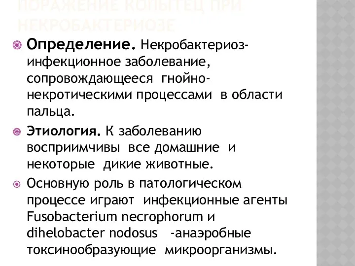 ПОРАЖЕНИЕ КОПЫТЕЦ ПРИ НЕКРОБАКТЕРИОЗЕ Определение. Некробактериоз- инфекционное заболевание, сопровождающееся гнойно- некротическими процессами в