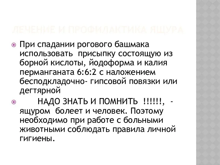 ЛЕЧЕНИЕ И ПРОФИЛАКТИКА ЯЩУРА При спадании рогового башмака использовать присыпку