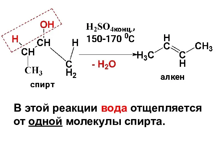 В этой реакции вода отщепляется от одной молекулы спирта.