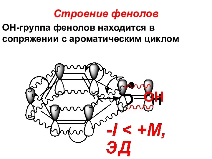 Строение фенолов ОН-группа фенолов находится в сопряжении с ароматическим циклом