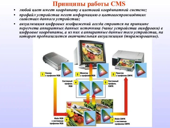 Принципы работы CMS любой цвет имеет координату в цветовой координатной