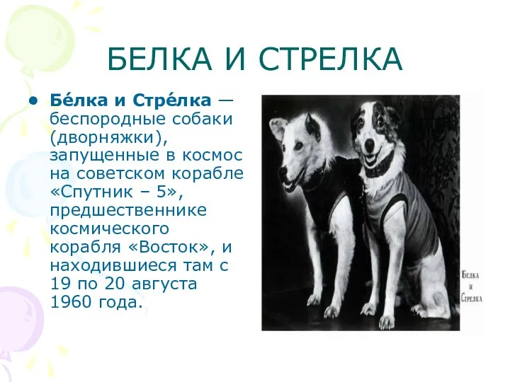 БЕЛКА И СТРЕЛКА Бе́лка и Стре́лка — беспородные собаки (дворняжки), запущенные в космос