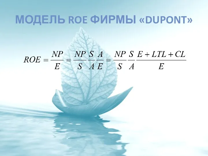 МОДЕЛЬ ROE ФИРМЫ «DUPONT»