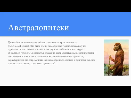 Австралопитеки Древнейшими гоминидами обычно считают австралопитековых (Australopithecinae). Это была очень