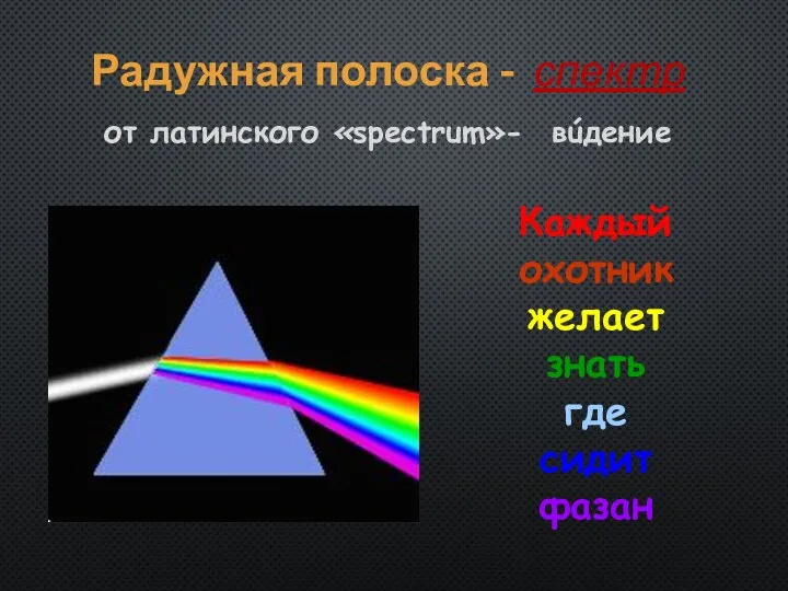 Радужная полоска - спектр от латинского «spectrum»- вúдение Каждый охотник желает знать где сидит фазан