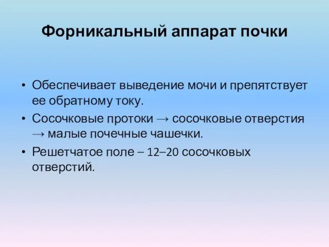 Форникальный аппарат почки Обеспечивает выведение мочи и препятствует ее обратному